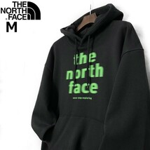 1円～!売切!【正規新品】THE NORTH FACE◆EVOLUTION VINTAGE HOODIE パーカー US限定 2023最新 グラフィック ノイズロゴ(M)黒 181130-30_画像1