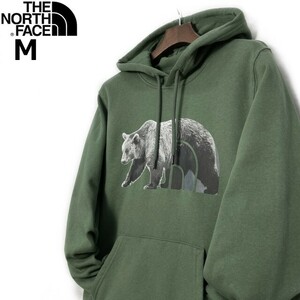 1円～!売切!【正規新品】THE NORTH FACE◆TNF BEAR PULLOVER HOODIE パーカー US限定 くま 熊 ビッグロゴ 裏起毛(M)カーキ 181130-30