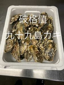 九十九島かき　9.5キロ（滅菌処理済み）　真牡蠣　殻付き牡蠣（8〜11個/kg）　　