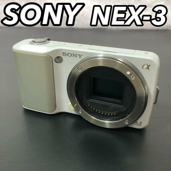 SONY ソニー NEX-3 レンズ交換式デジタル一眼カメラ ボディのみ 本体 小型 軽量ボディ ホワイト 白色 運動会 風景 景色 思い出 旅行 予備