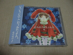 CARNELIAN Vol.4 カーネリアンCDROM画集