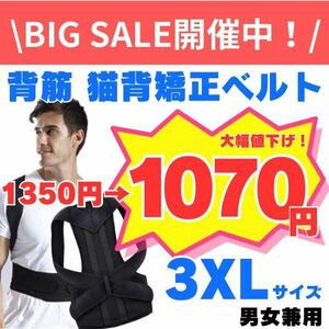 背筋 猫背矯正ベルト 3XLサイズ 男女兼用 S～3XL 大人気 新品未使用 肩こり 腰痛 デスクワークサポーター 