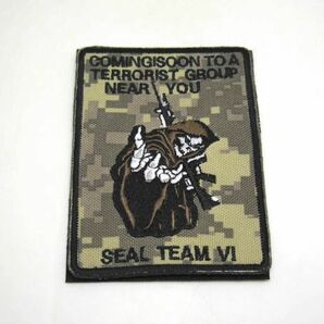 SEAL TEAM テロリスト パッチ ワッペン サバゲー ベルクロ DM便発送の画像1