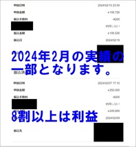 週末限定価格【お試し版】2月度は1サイトで49万円の入金！月収30万円以上を確実に。。。市場崩壊、悪魔の手引きを初公開_画像2