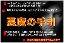 週末限定価格【お試し版】2月度は1サイトで49万円の入金！月収30万円以上を確実に。。。市場崩壊、悪魔の手引きを初公開_画像1