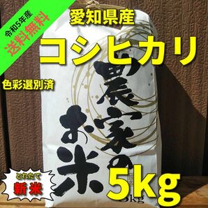 【R5年産 新米 今なら200g増量中！】コシヒカリ(白米 5kg)
