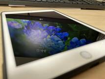 【極美品　充電回数73回、90~93%】 iPad mini 7.9インチ 第5世代 wifiタイプ 64GB_画像2