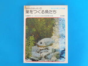 巣をつくる魚たち―魚たち子育ての不思議 吉原 順平 金の星社　/ バラタナゴ　オヤニラミ　