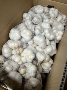 青森県産 にんにく令和５年産 玉 Ｌ ３ｋｇ