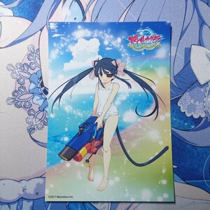 【正規品】閃乱カグラ PEACH BEACH SPLASH L判ブロマイド イラストカード ポストカード 未来