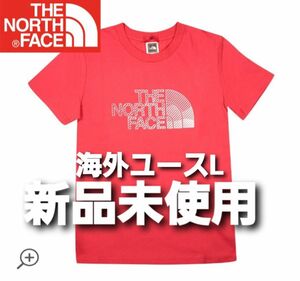 ロゴTシャツ THE NORTH FACE