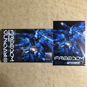 新品 西川貴教 with t.komuro FREEDOM 完全生産限定盤 CD ガンプラ HG フリーダムガンダム ポラライズドクリア クリアファイル 小室哲哉