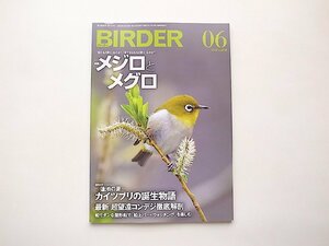 BIRDER(バーダー)2019年6月号●特集=メジロとメグロ