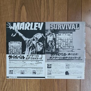ボブ・マーリー&ザ・ウェイラーズ Bob Marley & The Wailers 雑誌レコード広告 70年代【切り抜き】Exodus/Kaya/Survival/Babylon By Busの画像3