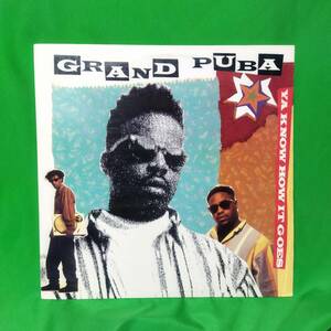 12' レコード Grand Puba - Ya Know How It Goes / Lickshot