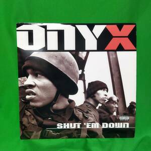 ２枚組 LP レコード Onyx - Shut 'Em Down