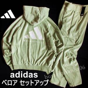 XL 大きめ◆未使用 定価27,500円 adidas アディダス ベロア 上下 プルオーバー パーカー ベロアパンツ セットアップ ハローグリーン