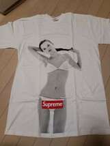 04ss SUPREME シュプリーム ケイトモス Tシャツ L 半タグ付　新品未使用_画像2