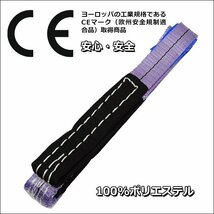 CE規格品 ナイロンベルトスリング 25mm×1m ストレート吊1T【4本セット】両端アイ型/19Б_画像2