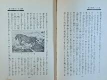 ★大山卯次郎「エチオピヤ探訪報告」★駿南社★単行本昭和9年初版★箱★希少_画像7