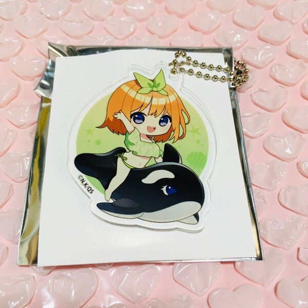 五等分の花嫁 まねきねこ コラボ 中野四葉トレーディング アクリル キーホルダー 1点