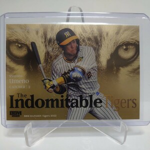 2022 BBM 阪神タイガース 200枚限定 梅野隆太郎 The Indomitable Tigers IT4