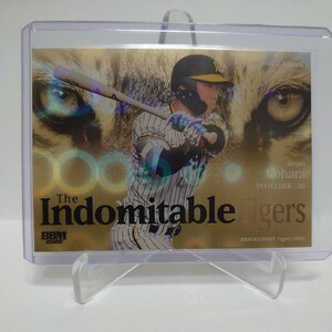 2022 BBM 阪神タイガース 60枚限定 糸原健斗 The Indomitable Tigers IT7