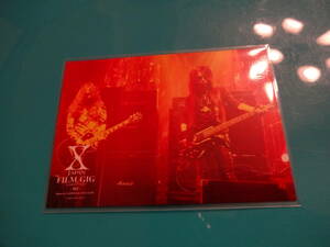  X JAPAN / PATA HEATH / FILM GIG ～X-JAPANの軌跡～　カード　トレカ　 トレーディングカード 