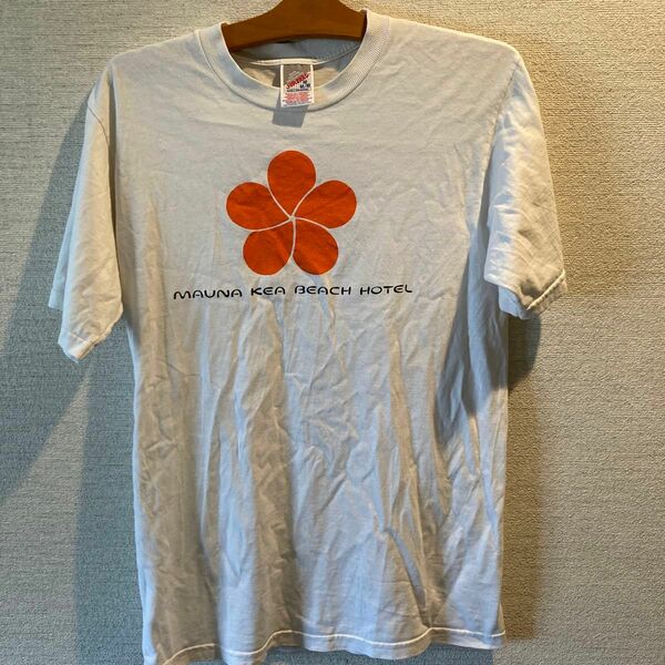 ビンテージ Tシャツ 半袖Tシャツ 古着 USA JERZEES レディース　Mサイズ　コットン100% 90s ヴィンテージ