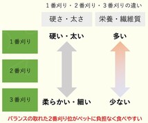 【2/25まで限定】 カナダ産 チモシー 120kg スーパープレミアム （１番刈り）最上質アルバータ州産 / お得なまとめ売り(2604円/10kg単価) _画像4