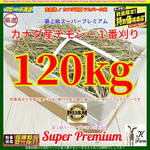 【2/25まで限定】 カナダ産 チモシー 120kg スーパープレミアム （１番刈り）最上質アルバータ州産 / お得なまとめ売り(2604円/10kg単価) _画像1