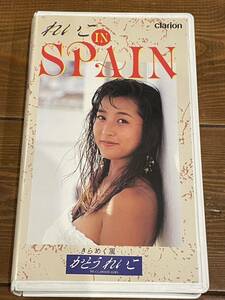 即決！早い者勝ち！DVD未発売■廃盤VHS■希少ビデオ■巨乳■かとうれいこ「れいこ IN SPAIN きらめく風」1992年　20才