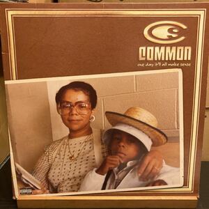 Common 【One Day It'll All Make Sense】88561-1535-19 HIPHOP LPレコード コモン 2LP 2枚組