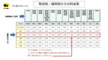 D：【3匹】銀鱗墨和金　2/17（土）出荷限定　サイズ：7～8㎝程度_画像5