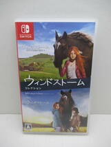 59/R102★ウィンドストーム ザ・コレクション★Nintendo Switch ニンテンドースイッチ★4Divinity★中古品 使用品 _画像1