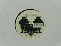 [未使用品][送料無料] HF International / If You Want It SF DubWise Remix [アナログレコード 7] レコードショップノベルティ　非売品_画像1