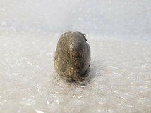 根付 ネズミ 銘あり 岡友　江戸時代 アンティーク レア 希少 全長(約) 4.7cm ねずみ 鼠 当時物_画像7