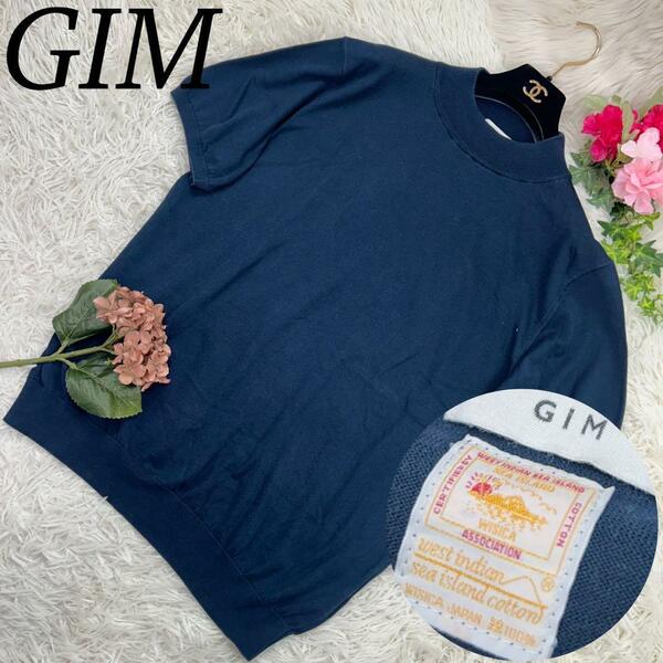 GIM ジム メンズ LLサイズ 大きいサイズ ニット セーター 半袖