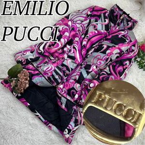  EMILIOPUCCI エミリオプッチ 美品 レディース Mサイズ ダウンジャケット プッチ柄 軽量 人気モデル 送料無料 可愛い ゴールド金具