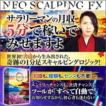 4■【導入サポート付】ネオ・スキャルピングFX 本体 解説PDF ツール解説動画　トレード動画 自動決済EA など おまけ付き_画像1