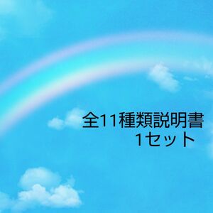 ライフウェーブパッチ　全11種類説明書のみ