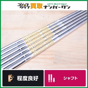 【程度良好 IR用シャフト】トゥルーテンパー Dynamic Gold D.S.T フレックスS200 アイアン用シャフト 5~PW 6本 ダイナミック スチール