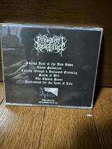 Prevalent Resistance Dynamics of Creation 2005年ブラックメタル　horna sargeist behexen baptism darkthrone mayhem_画像2