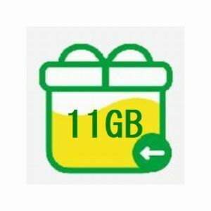 11GB(10GB+1GB) mineo パケットギフト。。