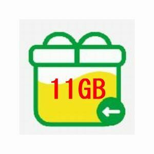 11GB(10GB+1GB) mineo パケットギフト