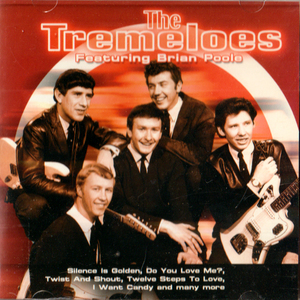 TREMELOES・The Tremeloes-Featuring Brian Poole / トレメローズ・1960年代～1970年ブリティッシュ インヴェイジョン バンドで活躍 全14曲