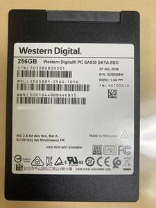 使用時間 51時　Western Digital SSD 256GB SATA 2.5inch 　WDC PC SA530 SDASB8Y-256G-1016 256.0 GB