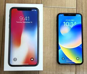 Apple SIMフリー iPhone X スペースグレイ 256GB SIMロック解除　バッテリー 100%　元箱・付属品(イヤホン除く)付き