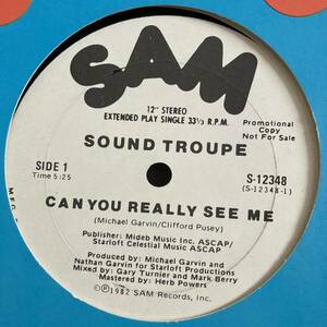 Sound Troupe - Can You Really See Me 12 INCH