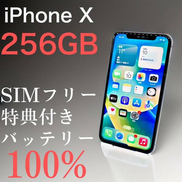 【特典付き】iPhone X 256GB スペースグレイ SIMフリー